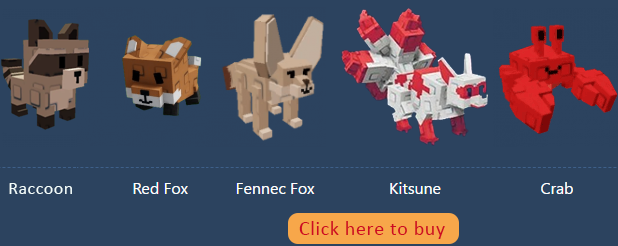 buy raccoon at ssegold